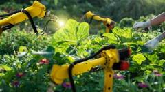 Az automatizálás révén építhetők újjá az agrár-élelmezési rendszerek kép