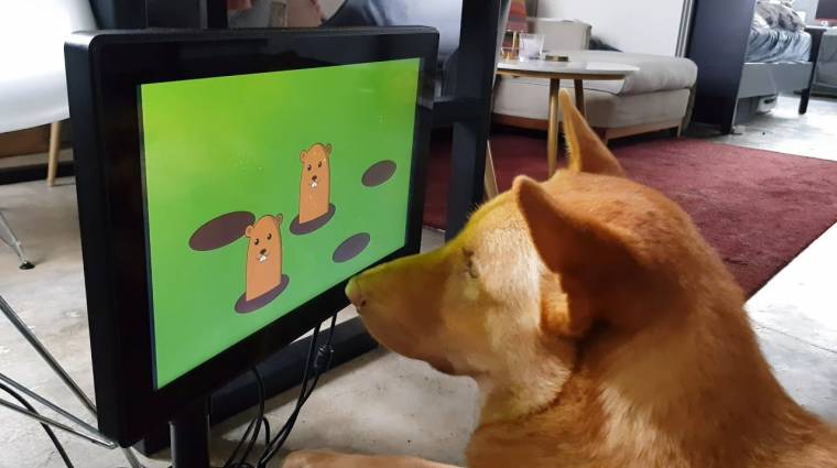 Videojáték kutyáknak? Már ilyen is van! bevezetőkép