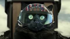 A Top Gun: Maverick nem volt rossz, de mennyivel jobb lehetett volna macskákkal? kép