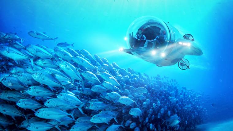 A tengeralattjáró gyorsabb a víz alatt, mint egy palackorrú delfin (Fotó: U-Boat Worx)