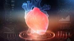 Ez az MI egy röntgenfelvétel alapján 10 évre előre megjósolja a szívrohamokat kép