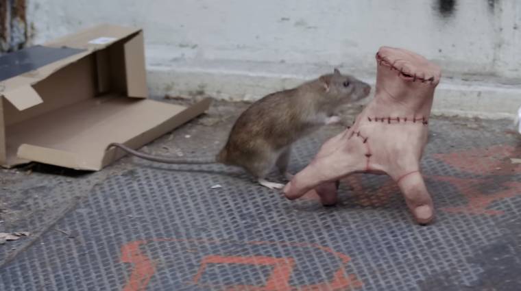 Izé elszabadult New Yorkban, gördeszkázott és összebarátkozott egy patkánnyal bevezetőkép