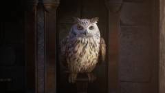 Gyönyörű új videón láthatjuk a Hogwarts Legacyt kép