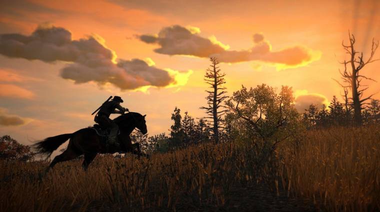 Több tucat Red Dead Redemption 2-es cowboy jött rá, hogy hátrafelé is lehet menni a lóval bevezetőkép