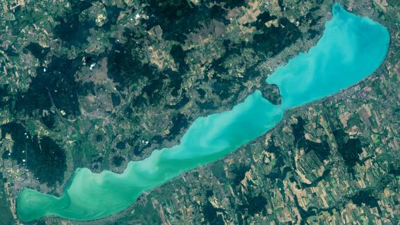 Egy világszerte tapasztalható jelenség érte el a Balaton vizét is kép