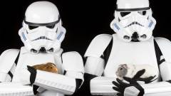 Iszonyú cuki képekkel bátorítanak Star Wars-rajongók örökbefogadásra kép