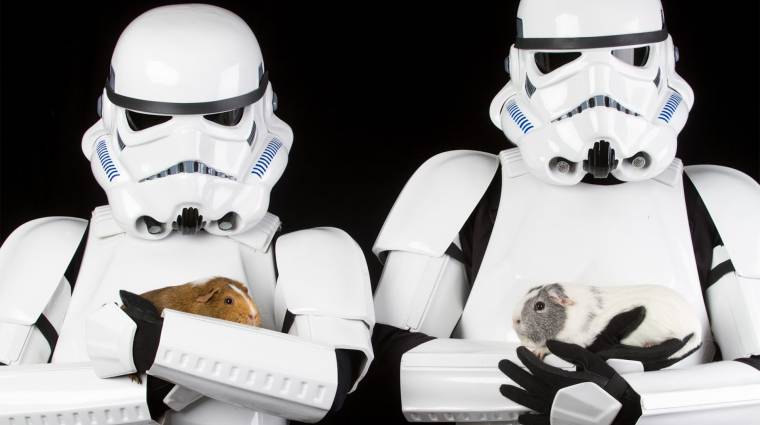 Iszonyú cuki képekkel bátorítanak Star Wars-rajongók örökbefogadásra bevezetőkép