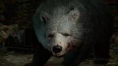 Durván kilőttek a Baldur's Gate 3 eladásai, miután kiderült, hogy ágyba lehet bújni egy medvével kép