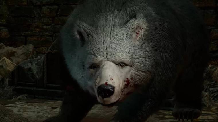 Durván kilőttek a Baldur's Gate 3 eladásai, miután kiderült, hogy ágyba lehet bújni egy medvével bevezetőkép