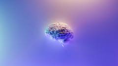 Rizsszemnyi implantátum forradalmasíthatja az agydaganatok gyógyítását kép