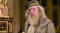 Elhunyt Michael Gambon, a Harry Potter filmek második Dumbledore-ja kép