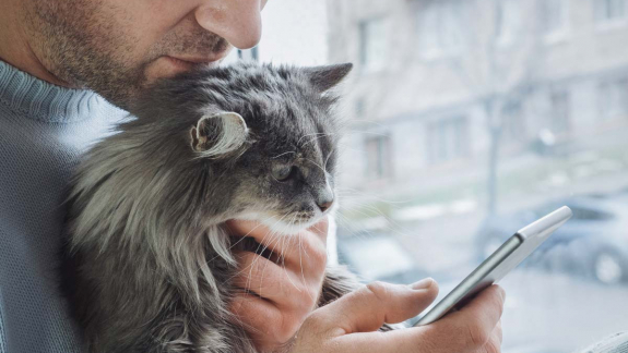 „Grok, hogy mentsem meg a macskám életét?” kép