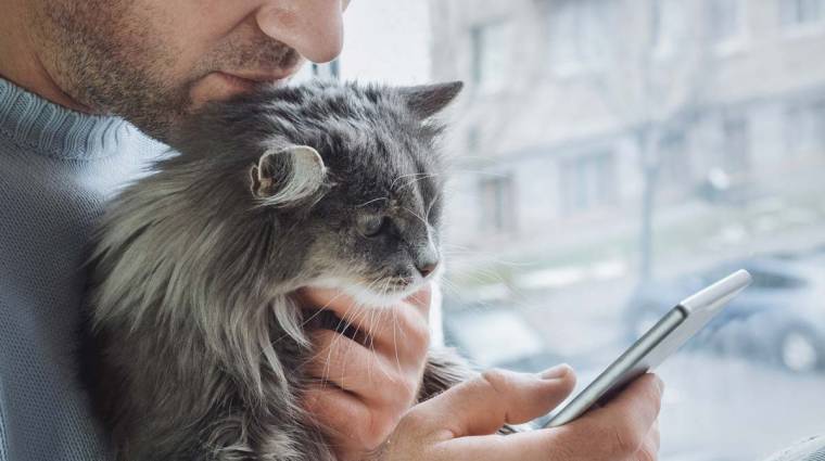 „Grok, hogy mentsem meg a macskám életét?” kép
