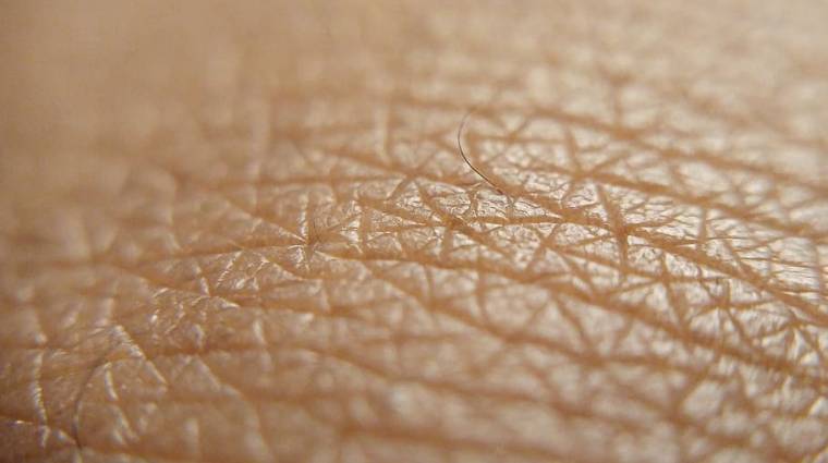 Bionyomtatással sikerült olyan bőrt alkotni, ami az embernek is tökéletes lehet kép