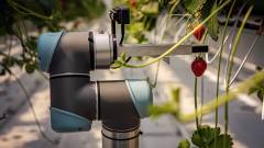 Fenntarthatóbb növénytermesztés robotokkal kép