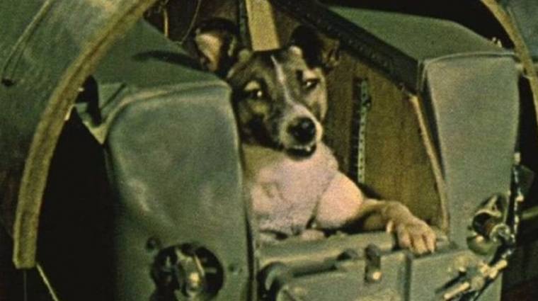 66 éve Lajka kutya a biztos halálba ment, hogy mi megismerjük a világűrt kép