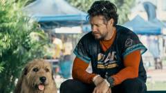 Mark Wahlberg új kutyás filmjébe még Bear Grylls is beugrott, íme az első trailer kép