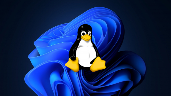 Újabb csúcson a Linux, ezek a legnépszerűbb verziók kép