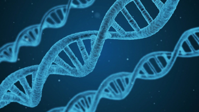 Genom-adattisztító szoftvert fejlesztettek a HUN-REN SZBK kutatói