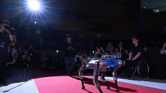 Guinness rekordot döntött futásban a koreai robotkutya kép