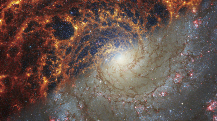 A stunning 19 spiral galaxies have been captured by the James Webb Space Telescope – PCW