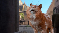 A Baldur's Gate 3 egyik játékosa macskákból álló csapattal vágott neki a kalandnak, nem eredménytelenül kép