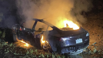 Elon Musk tagadja, hogy a Tesla önvezető módja ölte meg az egyik alkalmazottját