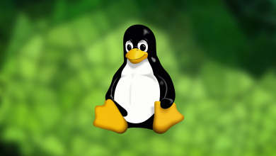 Blurred placeholder