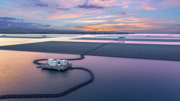 A Hollandia partjainál épülő úszó napelempark egyszer a világ legnagyobbja lehet kép