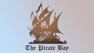 Repülőbalesetben meghalt a Pirate Bay társalapítója, Carl Lundström