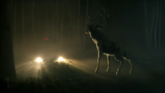 Befutott a Bambi horrorfilm első előzetese kép