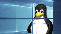 A Microsoft szemfüles dolgozóján múlott, hogy nem hackelték meg Linux-felhasználók millióit kép