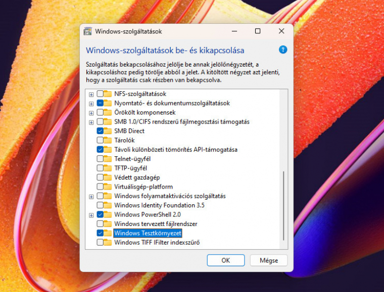 Windows 11 Pro alatt egyetlen kattintás a funkció aktiválása, Home verziónál némi trükkre is szükség van