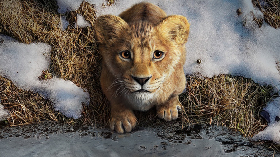 Magyar szinkronnal nézhető a Mufasa: Az oroszlánkirály előzetese kép