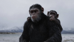 Nyugi, folytatódik A majmok bolygója franchise, készül az új film kép