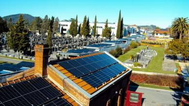 Így segítenek a temetők a klímasemlegesség elérésében kép