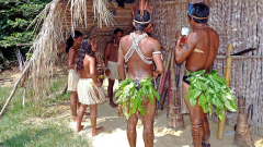 Internethozzáférést kapott egy amazóniai törzs, pornó- és kütyüfüggővé váltak a fiataljaik kép