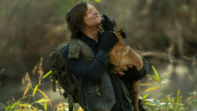 Meghalt Daryl kutyája a The Walking Deadből kép