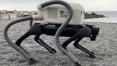 VERO, az új robotkutya mindent megtesz a tisztább környezetért