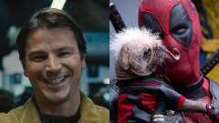 Deadpoolék tovább zúznak, de Shyamalan új filmje nem aratott nagy sikert a magyar mozikban kép