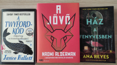 Rejtvények, világvége és múltbéli traumák - A Twyford-kód, Ház a fenyvesben, A jövő kép