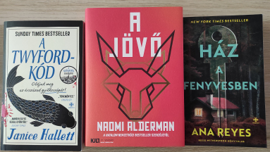 Rejtvények, világvége és múltbéli traumák - A Twyford-kód, Ház a fenyvesben, A jövő kép
