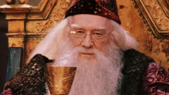 Dumbledore fia nincs elragadtatva az új Harry Potter tévésorozattól kép