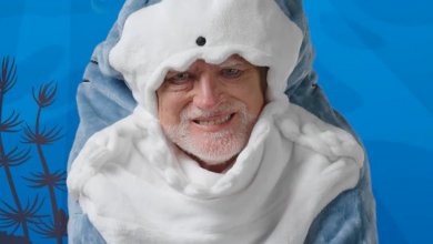 Az internet szerint Hide the Pain Harold lenne a tökéletes köztársasági elnök kép