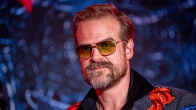 David Harbour őszintén beszélt a terápiáról és a visszatérő küzdelmeiről kép