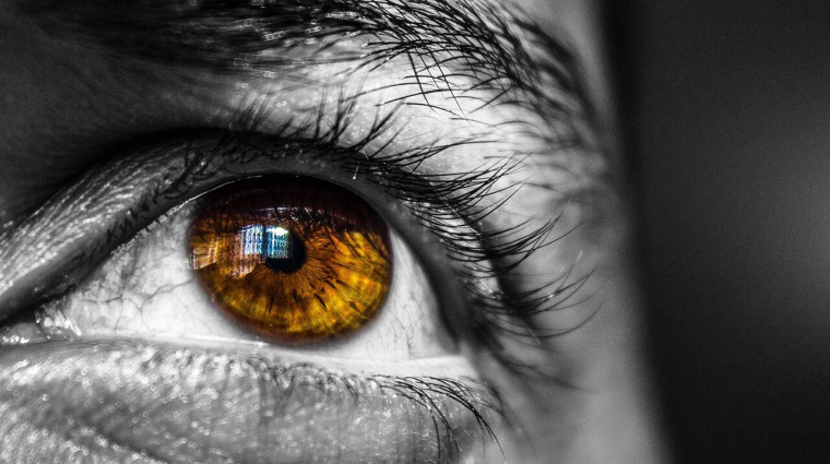 Own development of Neuralink's competitor – PCW – has restored sight to blind people