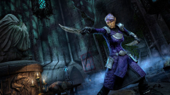 A The Elder Scrolls Online nem-bináris karakterét védte a játék fejlesztője kép