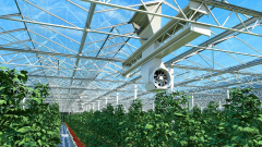 Terjed a klímaokos mezőgazdaság kép