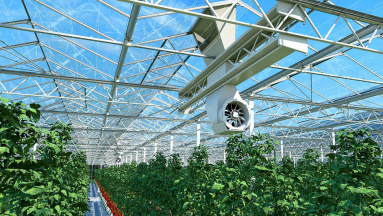 Terjed a klímaokos mezőgazdaság kép