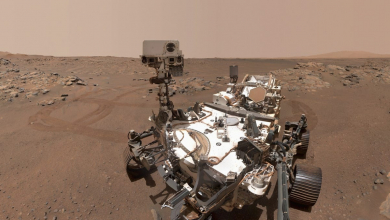 Ősi élet nyomaira bukkanhatott a NASA a Marson kép